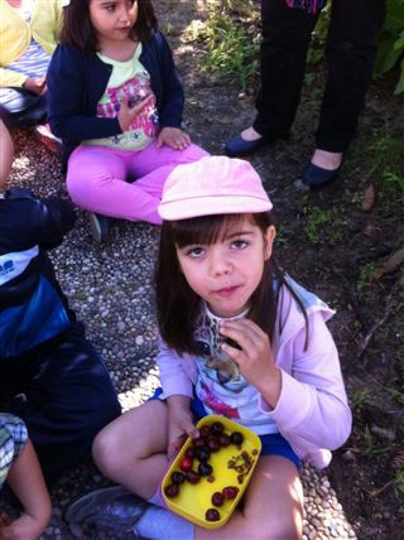 2014-06-05 10.22.57 mobile