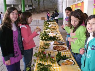 2011.6 - feira de alimentao saudvel
